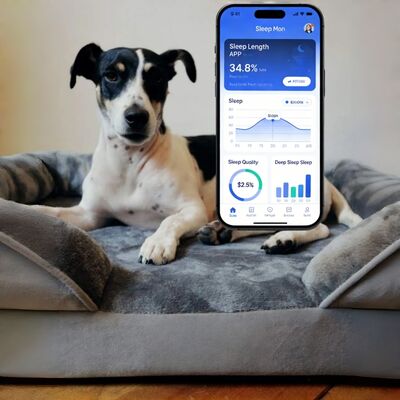 OEM Smart Dog Bed With Health Monitoring, APP Track Sleep/Heart/Breath For Puppy Senior Dog Peace Of Mind