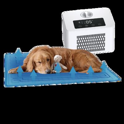 Electric Dog & Cat Cooling Mat PTC Heating Cooling System Eco-friendly PVC Material Overheat Protection All-season Use 60x45cm